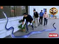Download Lagu शादी वाले घर में घुसा खतरनाक जहरीला सांप, CID मौके पर पहुंची || CID || Full Episode