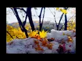 Michael Gettel - Prelude_ First Snow