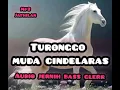 Lagu TURONGGO MUDA CINDELARAS