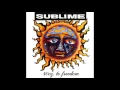 Sublime - Bad Fish - 40oz. To Freedom