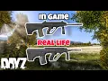 DayZ Guns In Real Life