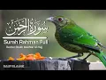 Download Lagu Surah Ar-Rahman Full HD Ep-005|| By Sheikh Mukhtar Al-Hajj  || سورۃ الرحمٰن بصوت الشیخ مختار الحاج