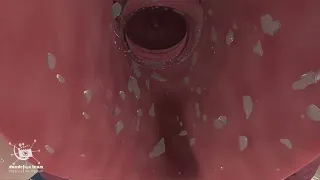 האורגזמה הנשית 