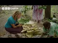Volcanic Ash Farming Journey To Fire Mountain BBC Earth Science