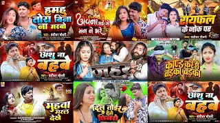 Banshidhar Chaudhary top Maithili Bewafai Gana 2026 | Maithili Sad Jukebox 2026 | Banshidhar Hits