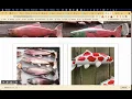 lightbox js demo with image gallery