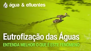Eutrofização - Entenda melhor o que é este fenômeno