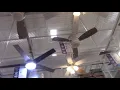 Lowes Ceiling Fan And Lighting Display 2025 Selection