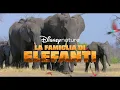 Video di Disneynature: La Famiglia di Elefanti e Echo, Il Delfino | Disney+ | In Streaming dal 3 Aprile
