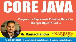 Program on Represents Primitive Data into Wrapper Object Part - 2 Core Java Tutorial