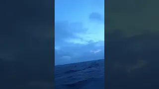 First light ⛵️
