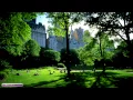 Relaxing Nature Sounds | Birds Singing In Central Park | Sounds For Sleeping & Relaxing