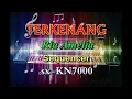 Lagu BURUNG DURI (Ria Amelia) Lirik lagu terkenang dangdut remix Minang