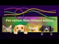 Unlocking the Magic Pet-Friendly New Orleans Awaits
