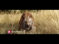 Download Lagu Djungelboken – Viaplay trailer