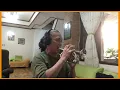 Lagu A man without love POCKET TRUMPET cover