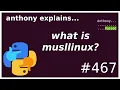 what is musllinux PEP 656 intermediate anthony explains