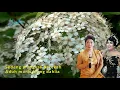 Download Lagu CIANJURAN - SEKAR MANIS - HENDRAWATI \u0026 ROSYANTI