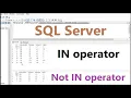 sql tutorial for beginners specify multiple values in a WHERE clause in SQL using IN operator