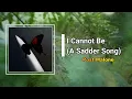 Post Malone - I Cannot Be A Sadder Song (Lyrics)