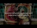 Vampire Empire - Big Thief (live version) Subtitulos en español