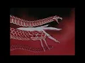 After Dark  - Tito & Tarantula - From Dusk Till Dawn- [• SLOW & REVERB •]