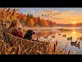 Duck Hunting Ambience 🦆 Peaceful Autumn Morning | Ducks, Wind & Reeds | No Music           3 hours