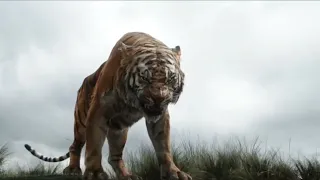 ספר הג ונגל 2016 מוגלי בורח משירחאן 