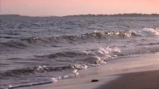 ميادة بسيليس ع موج البحر 