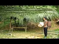 Download Lagu Single mother builds dream house in the middle of the forest, starts a new life full of hope