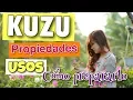 Download Lagu KUZU O KUDZU: PROPIEDADES, BENEFICIOS Y CÓMO PREPARARLO
