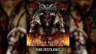 Download Pure pestilence MP3