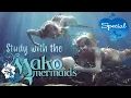 Study with the MAKO MERMAIDS 🧜🌊 - 25/5 Pomodoro Timer - Underwater Sounds
