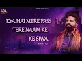 Lagu Kya Hai Mere Pass Tere Naam Ke Siwa   | Sardar Ali | Live Mela