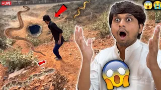 😲 Zinda Real Snake Mil Gaya 🐍🥵 Socha Nahi Tha Etna Bada LAST Minutes Me