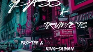 protee u0026 king saiman mzansi to ibiza