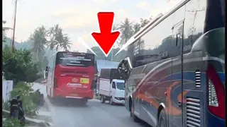 siapa pemenangnya bus als vs bus pangeran konvoi di jalur berliku dan ekstrim