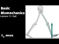 Biomechanics Lecture 11 Gait