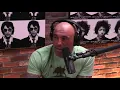 Dan Bilzerian s Oppinion On Marriage