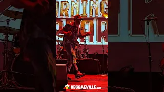 BURNING SPEAR 🔥 LIVE in Utrecht, Netherlands @ TivoliVredenburg [September 3, 2026]