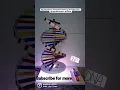 Lagu DNA working model ✨️ || DNA structure model #biology #dna   #shorts #shortsvideo