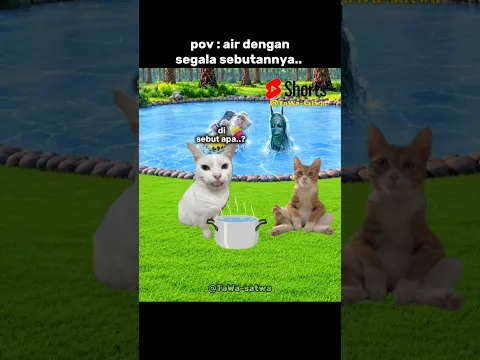 di sebut apa ya..?#meme #kucing #main #tebakan #funny #sound #youtube #shorts #lawak #catlovers