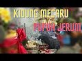 Download Lagu Kidung Bhuta Yadnya | Kidung Mecaru | Pupuh Jerum