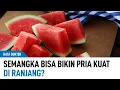 Download Lagu Benarkah Makan Semangka Bikin Pria Kuat dan Tahan Lama Di Ranjang? | Kata Dokter
