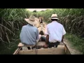 Video di Un mondo fragile - trailer ufficiale