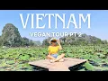 We Spent 7 Days in Vietnam as VEGANS Part 2 Ninh Binh Ha Long Bay