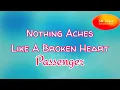 Download Lagu Passenger - Nothing Aches Like A Broken Heart (lyric video)