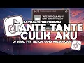 Download Lagu DJ TANTE TANTE CULIK AKU VIRAL TIK TOK ELART REMIX