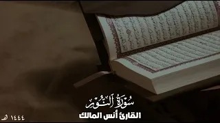 تلاوة سورة النور للقارئ أنس المالك من ليالي رمضان لعام ١٤٤٤ 