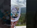 Critters Living On the Edge